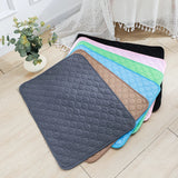 QUICK DRY ABSORBENT PET PAD BLANKET– Keep Your Home Clean &amp; Comfortable