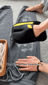 WAGMITT PET HAIR MAGIC MITT