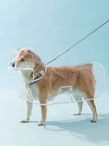 CLEAR WATERPROOF DOG RAINCOAT HOOD- dry and comfortable on rainy days