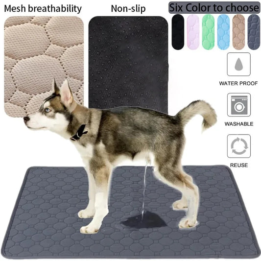 QuickDry Absorbent Pet Pad Blanket