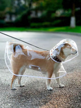 CLEAR WATERPROOF DOG RAINCOAT HOOD- dry and comfortable on rainy days