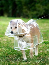 CLEAR WATERPROOF DOG RAINCOAT HOOD- dry and comfortable on rainy days