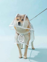 CLEAR WATERPROOF DOG RAINCOAT HOOD- dry and comfortable on rainy days