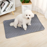 QUICK DRY ABSORBENT PET PAD BLANKET– Keep Your Home Clean &amp; Comfortable
